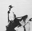 a16