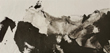 a11