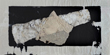 a19