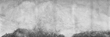 c19